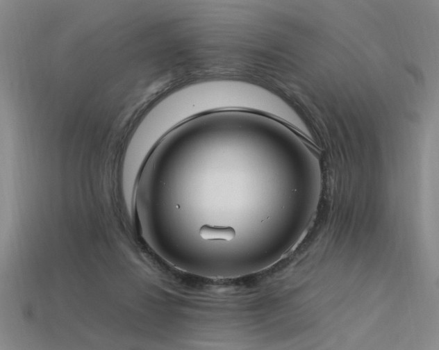 X0000113620260200909181445