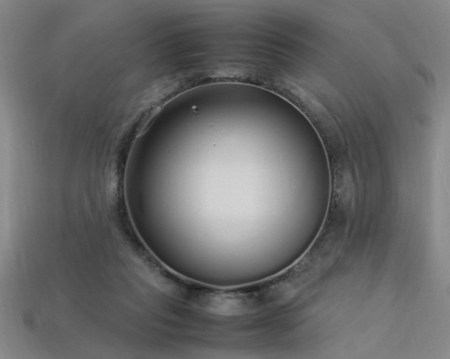 X0000113620261200909181446