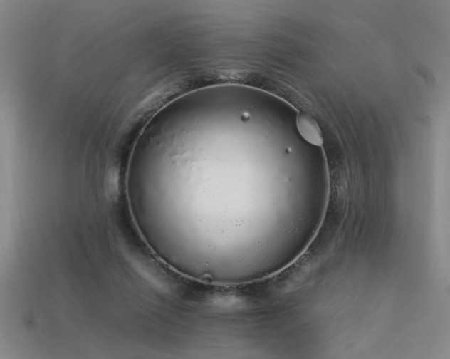 X0000113620262200909181446