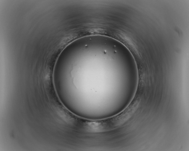 X0000113620265200909181446