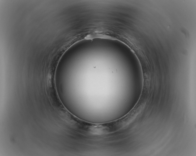 X0000113620269200909181446