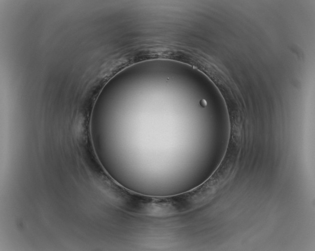 X0000113620270200909181446