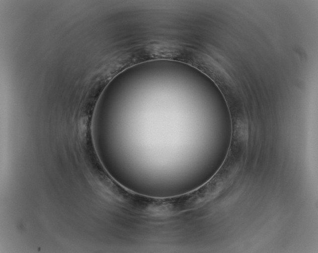 X0000113620271200909181446