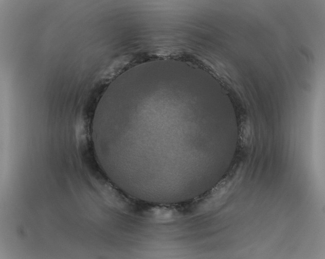 X0000113620272200909181446