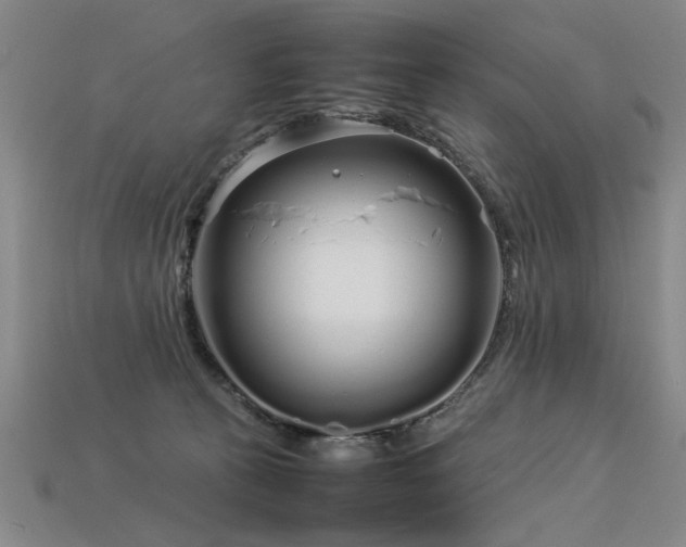 X0000113620273200909181446