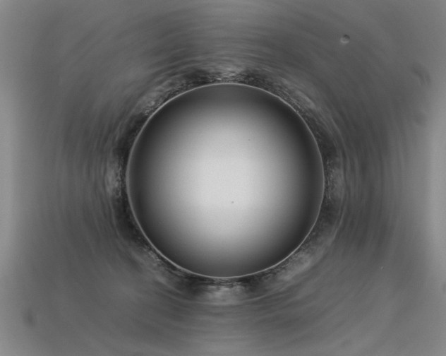 X0000113620274200909181446