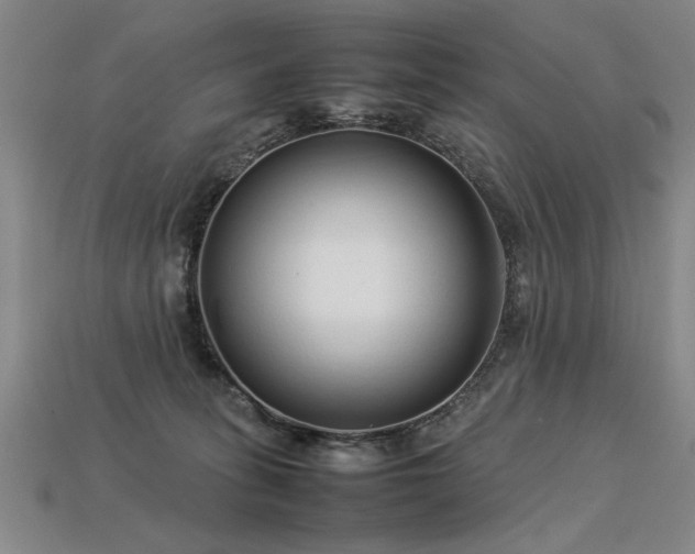 X0000113620275200909181446