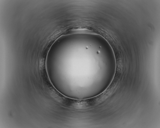 X0000113620278200909181446