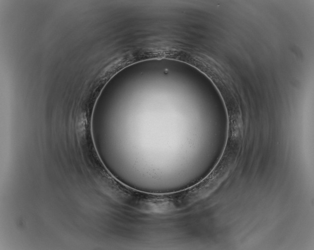 X0000113620279200909181446