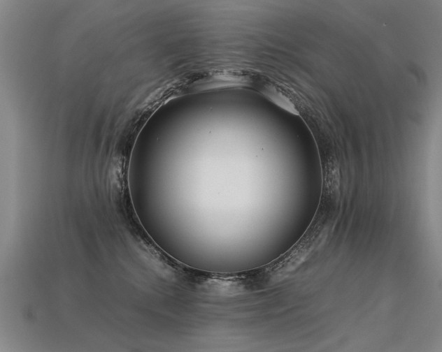 X0000113620280200909181446