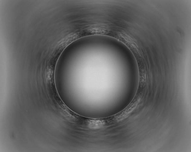 X0000113620281200909181446