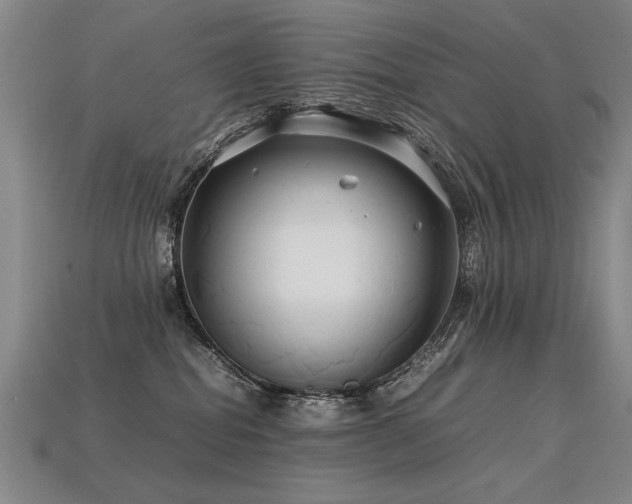 X0000113620282200909181446