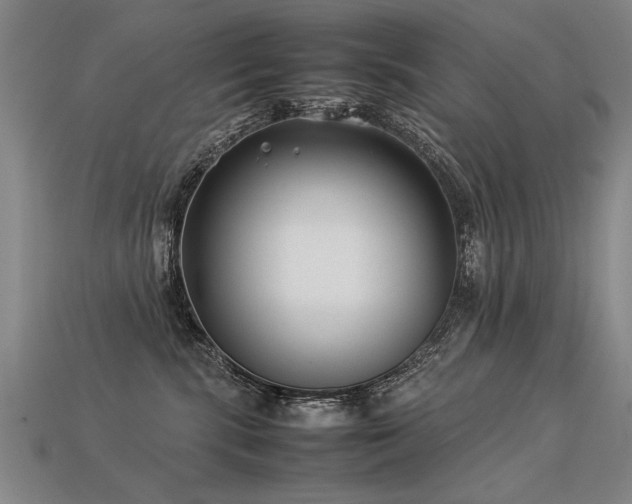 X0000113620283200909181446