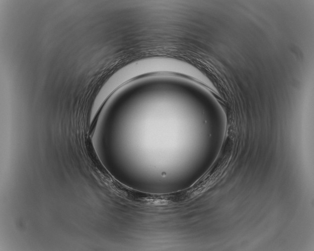 X0000113620284200909181446