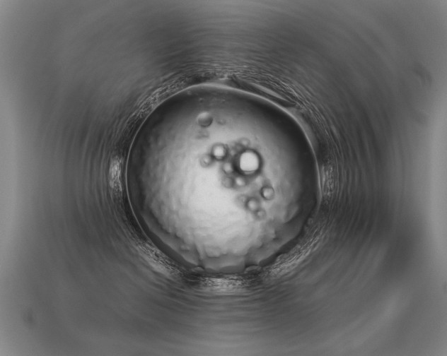 X0000113620286200909181446