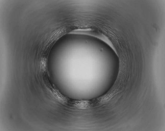 X0000113620288200909181446