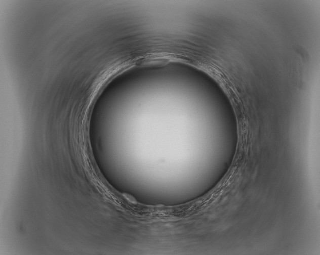 X0000113620289200909181445