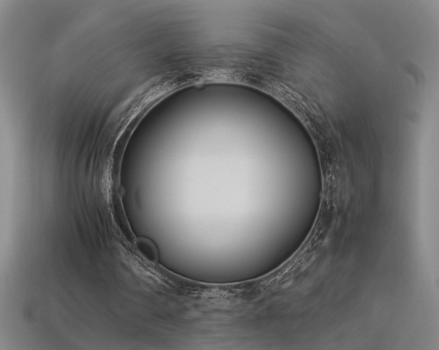 X0000113620290200909181445