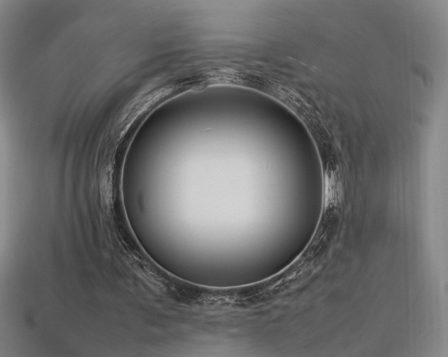 X0000113620291200909181445