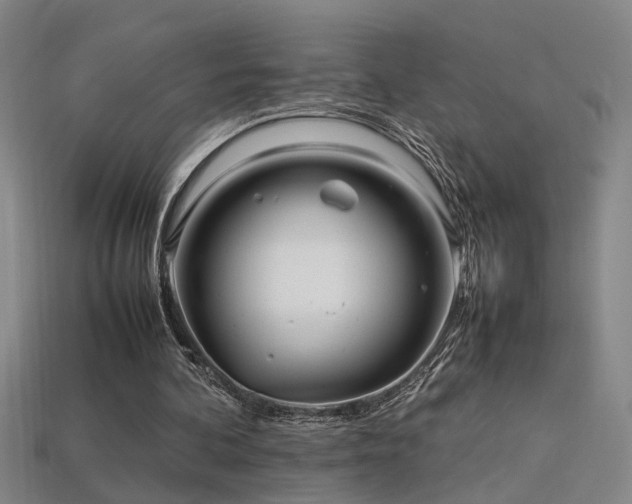 X0000113620292200909181445