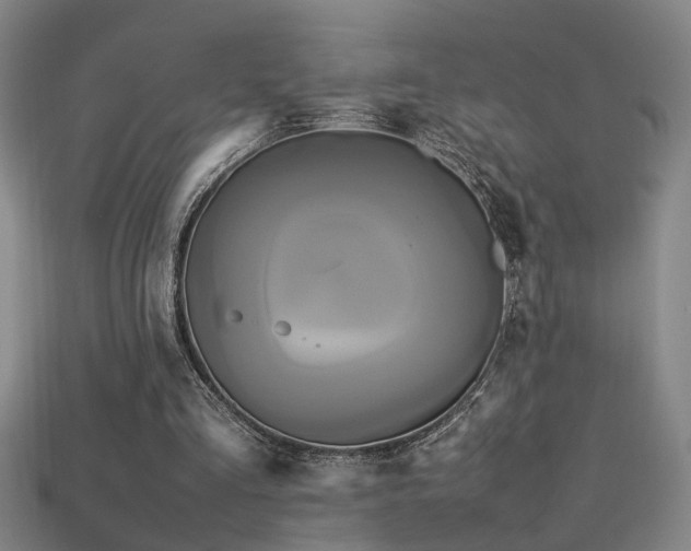 X0000113620293200909181445