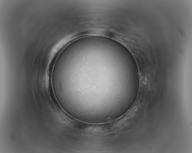 X0000113620294200909181445