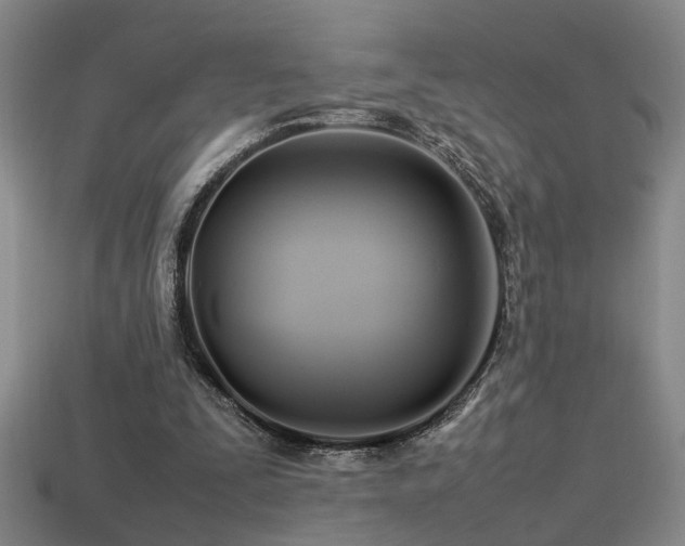 X0000113620295200909181445