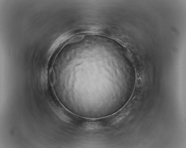 X0000113620296200909181445