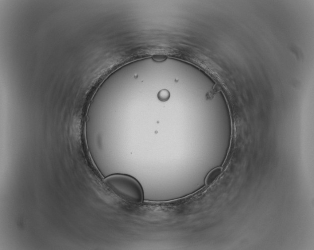 X0000113620297200909181445