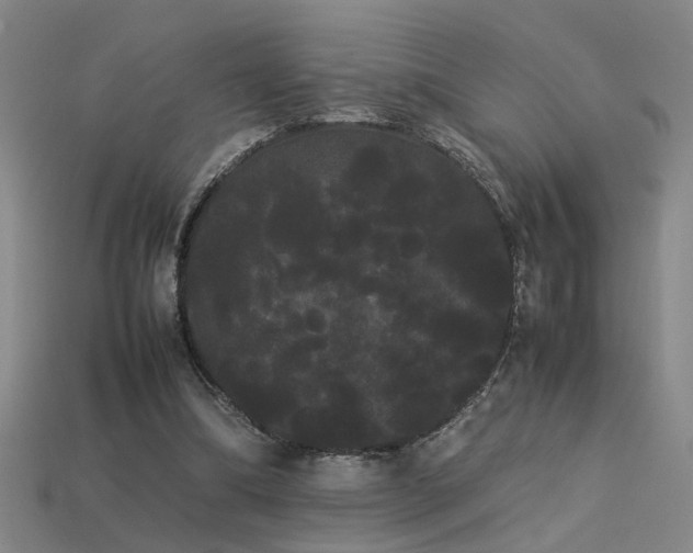 X0000113620298200909181445