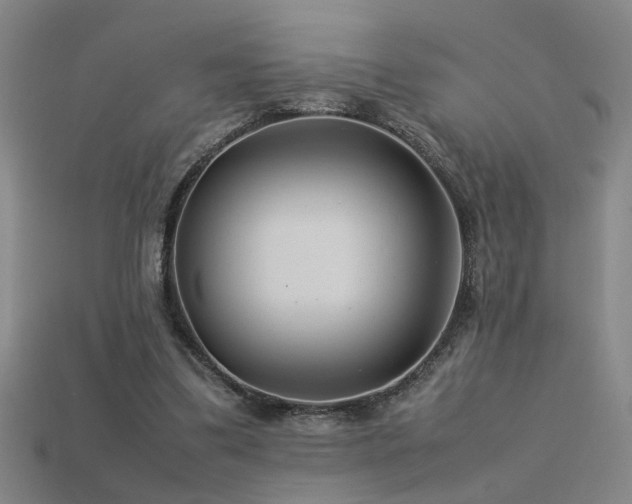 X0000113620299200909181445