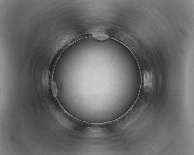 X0000113620300200909181445