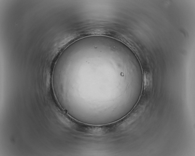 X0000113620301200909181445