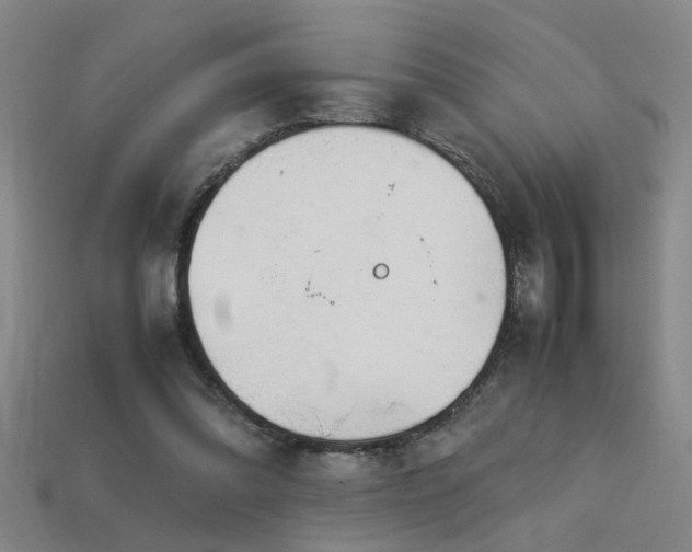 X0000113620302200909181445