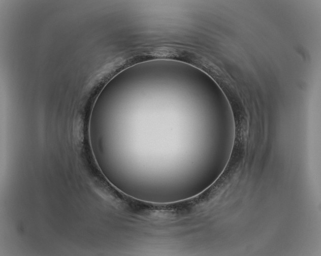 X0000113620303200909181445