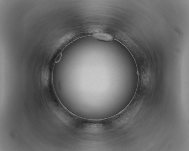 X0000113620304200909181445