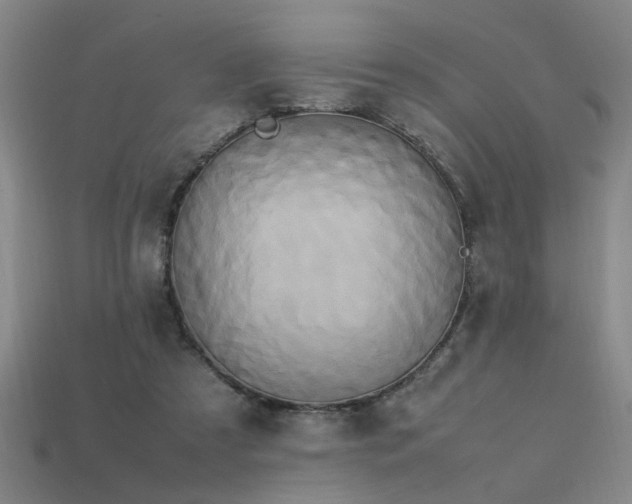 X0000113620305200909181445