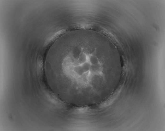 X0000113620306200909181445