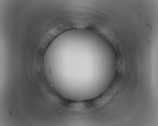 X0000113620307200909181445