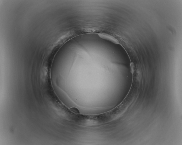 X0000113620308200909181445