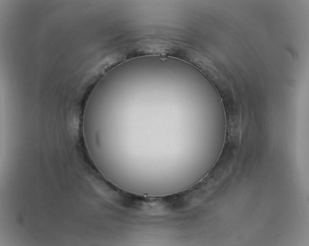 X0000113620309200909181445