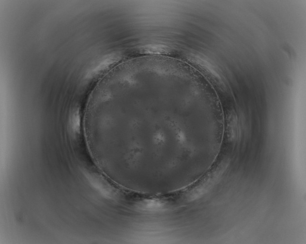 X0000113620310200909181445