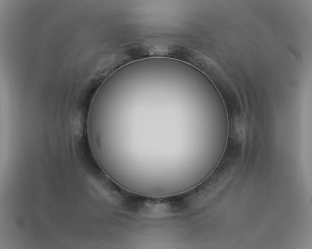 X0000113620311200909181445