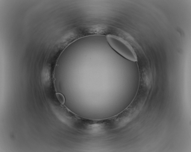 X0000113620312200909181445