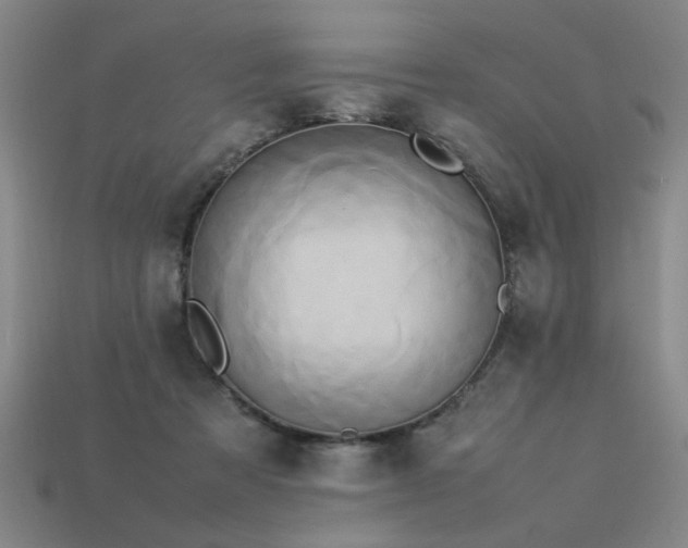 X0000113620313200909181445