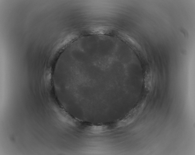 X0000113620314200909181445