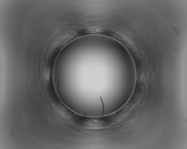 X0000113620315200909181445