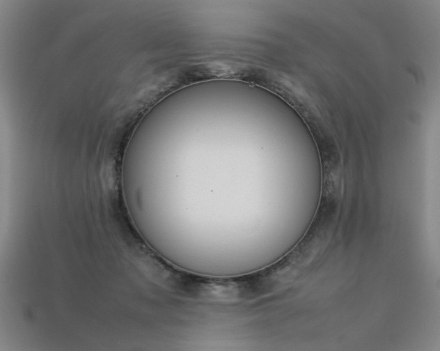 X0000113620317200909181445