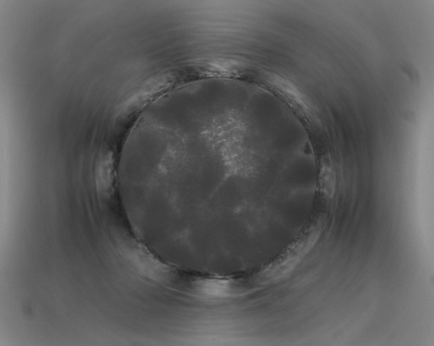 X0000113620318200909181445