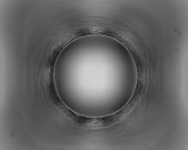 X0000113620319200909181445